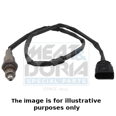 Oxygen Sensor